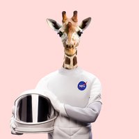 Cloud - More Giraffes