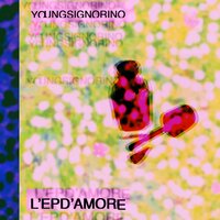 Burrocacao rosa - Young Signorino