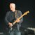 David Gilmour